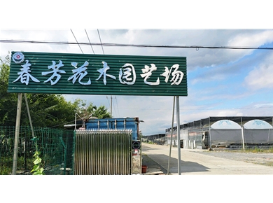 上海春芳花木園藝場(chǎng)